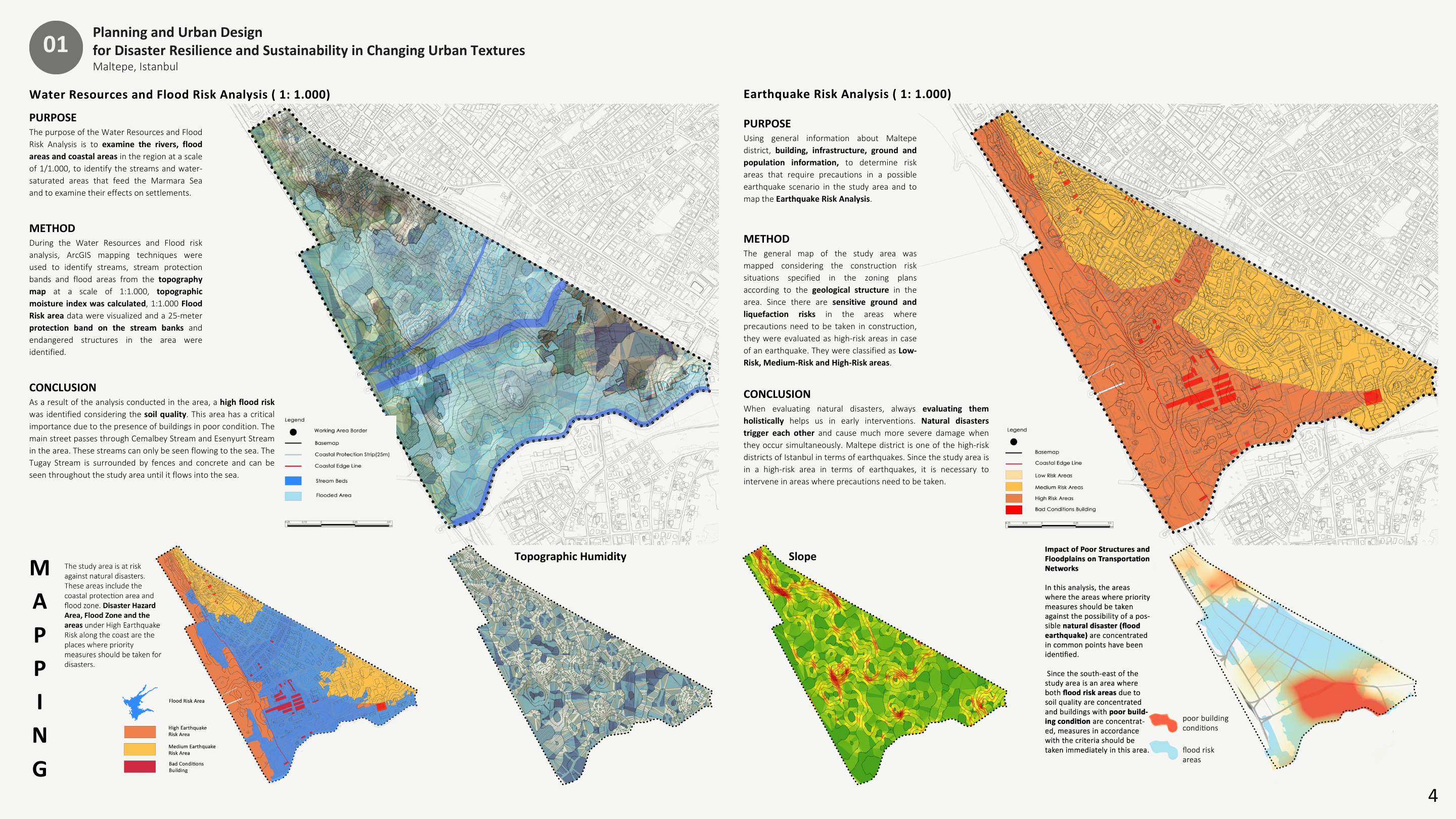 Detailed Risk Analysis 1:1000